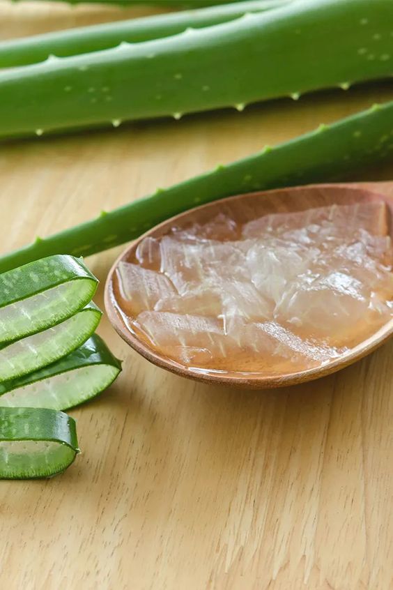 Aloe vera hair mask 