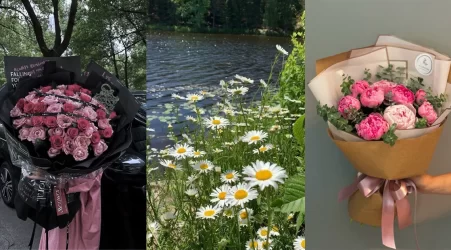 Why Flowers Are Still the Best Gift for Any Occasion?
