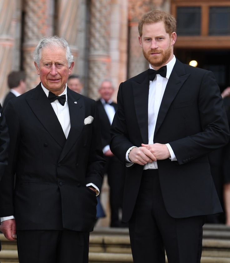 Prince Harry & King Charles Relationship Status