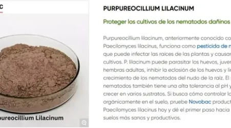 Top 5 Vegetable Crops That Benefit from Paecilomyces lilacinus Bio-Nematicide