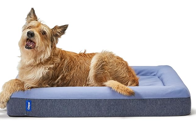 Casper dog bed