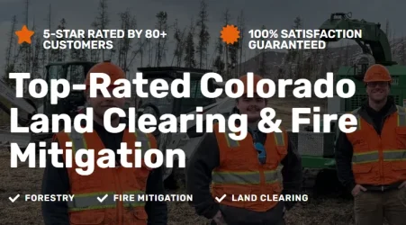 How forestry mulching improves land clearing efficiency and environmental balance